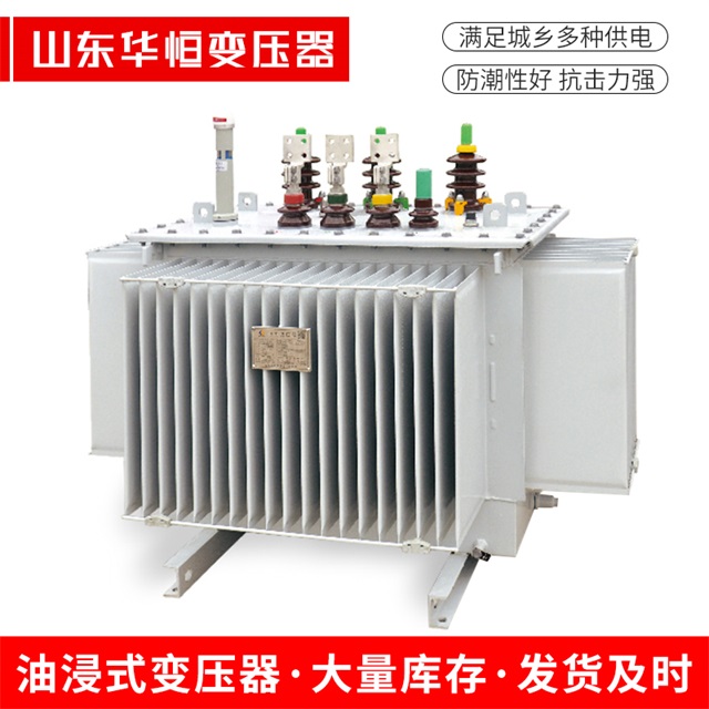 S13-10000/35当涂当涂当涂电力变压器
